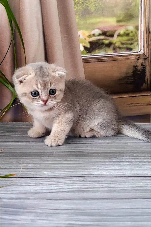 Max