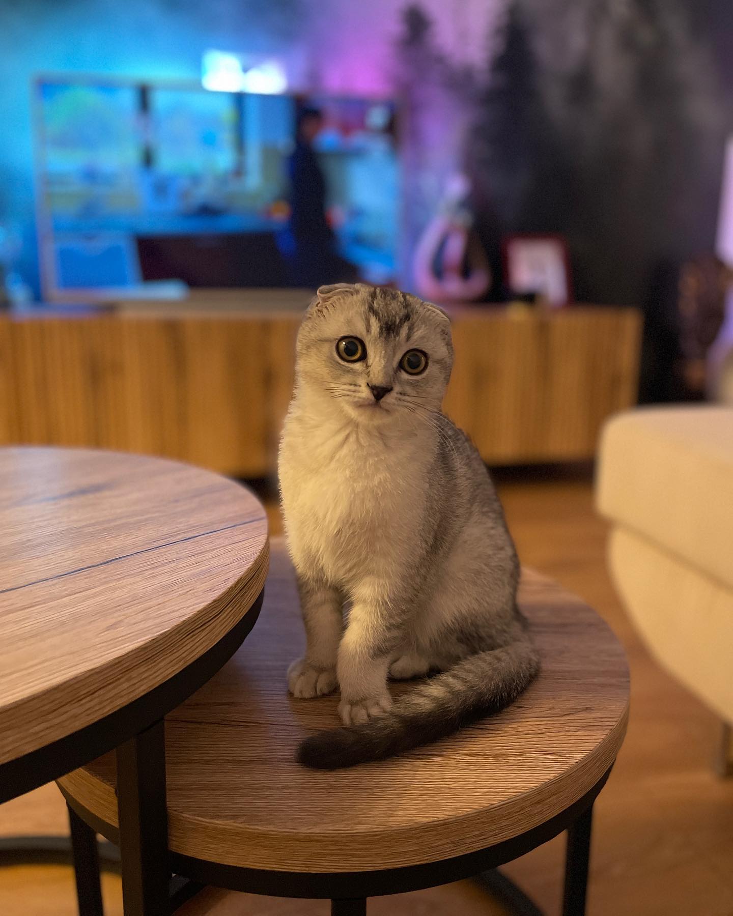 Simba